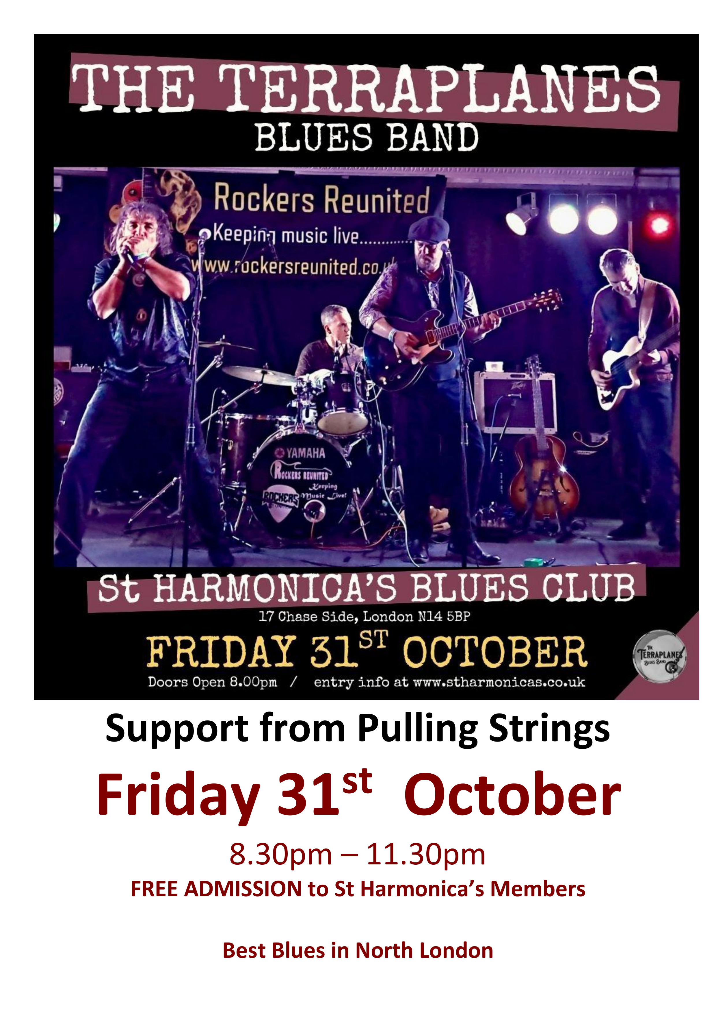 The Terra planes Blues Band